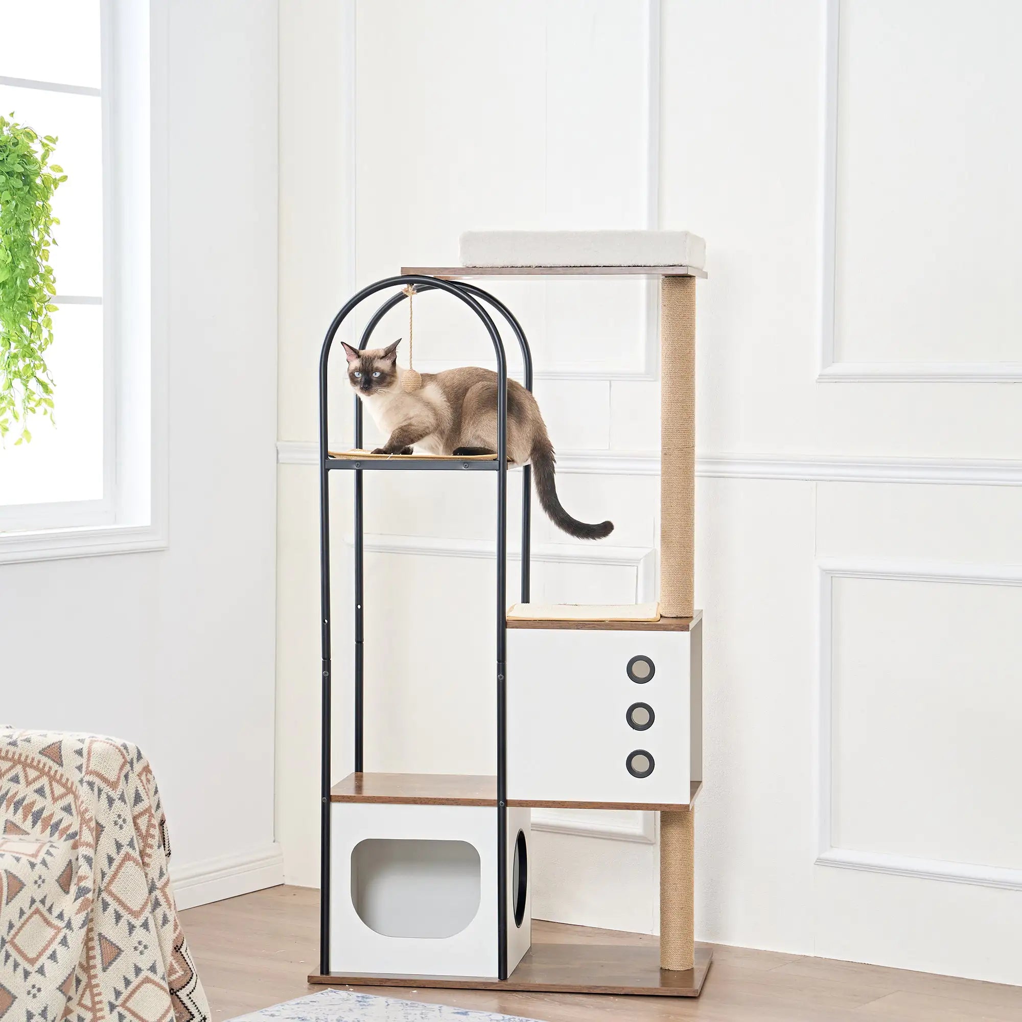 Pet Beds and Towers