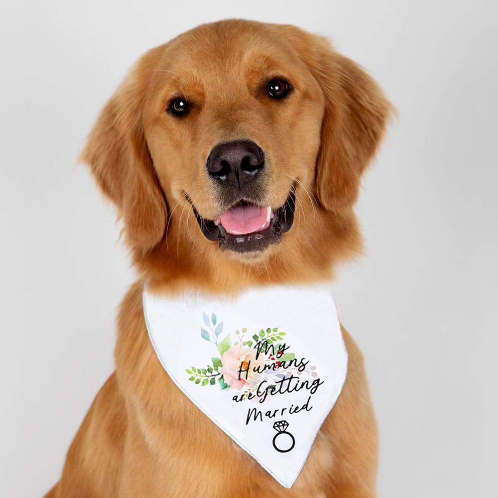 Valentine’s Day “My Humans Are Getting Married” Dog Bandana – Engagement & Wedding Announcement Pet Scarf