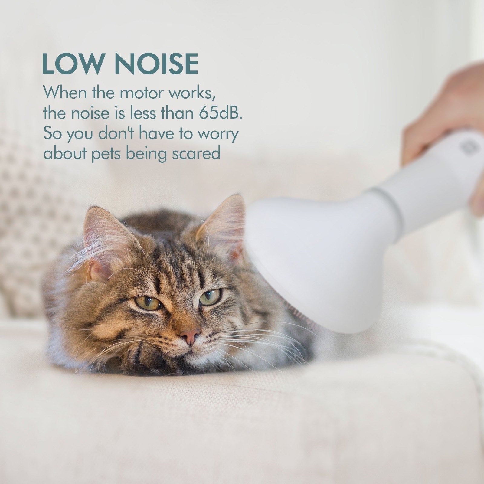 Pet Hair Dryer & Slicker Brush 2-in-1 – Low-Noise Dog & Cat Grooming Dryer with Adjustable Heat